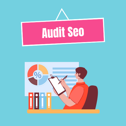 Seo audit completa 